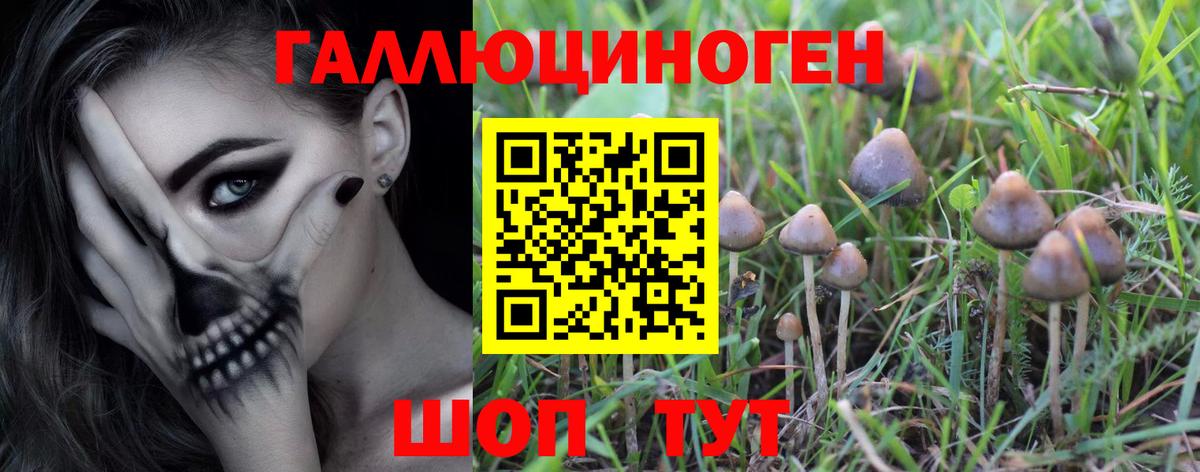 Псилоцибиновые грибы GOLDEN TEACHER Кувандык