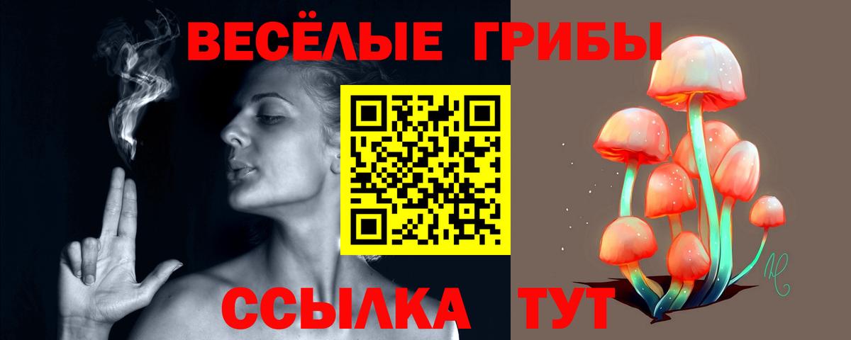 Псилоцибиновые грибы прущие грибы  Галлюциногенные грибы GOLDEN TEACHER  Кувандык  Вход с VPN 